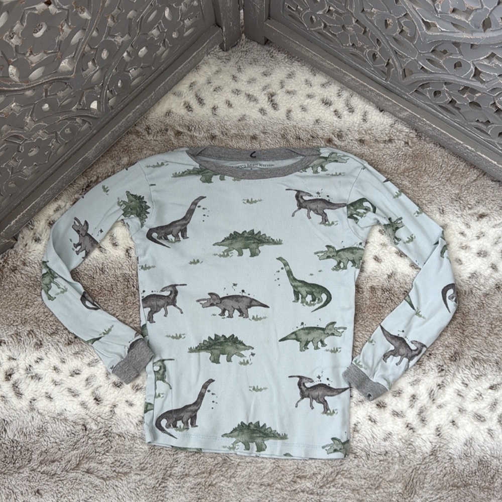 Burt’s Bees Kids dinosaur long sleeve shirt boys size 6 preppy loungewear fall